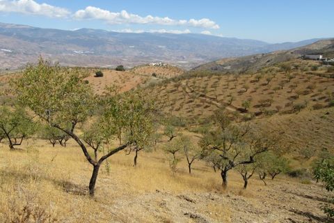 Cortijo i Cadiar, Granada, Cadiar - € 155.000 | Ref: CJ269 - foto 26